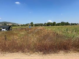 Kocaeli Körfez Cumada Acil Satilık Kelpir