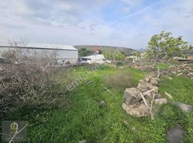 Şakran Sahile 4 Km Hacıömerlide Satılık Avlulu Kargir Ev Fırsat