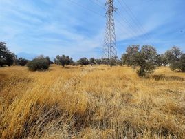 Kemalpaşa Armutluda Otobana Yakın Yatırımlık Kupon Arsa