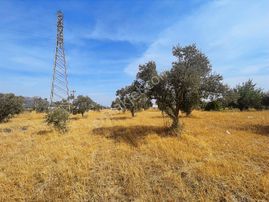 Kemalpaşa Armutluda Otobana Yakın Yatırımlık Kupon Arsa