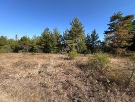 Mera Emlaktan Yenice Kalabakbaşı Mevki 13.850 M2 Müstakil Tarla