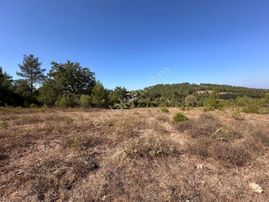 Mera Emlaktan Yenice Kalabakbaşı Mevki 13.850 M2 Müstakil Tarla