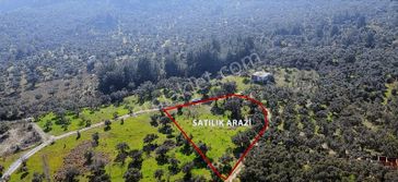 Kaçmaz Fırsat Müstakil Tapu