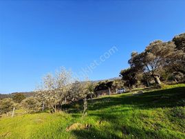 Kaçmaz Fırsat Müstakil Tapu