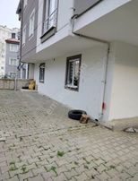 Ordu Murat Kent Emlak Şahincili Mh Kiralık Bahçe Katı