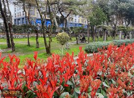 Acill !!! Esenler Toki Selçuklu Konutları Satılık 2+1 Boş Daire