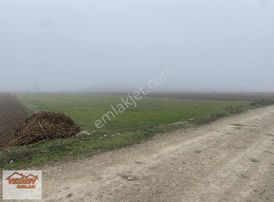 Vezirev Emlak'tan Akören Mah. 5500 M2 Yola Cephe Süper Tarla