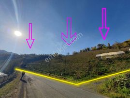 Anıl Gayrimenkul'den (17 Dönüm) Fırsattt Satılık Fındık Bahçesi