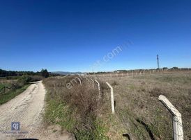 İzmir Menderes Oğlananası 'nda 36.275 M² Satılık Tarla