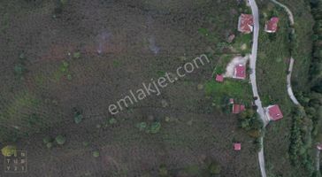 Century 21den Yukarıtepe'de Ordu Manzaralı Arazi!