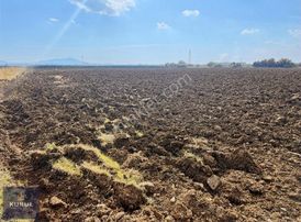 Kurul Gayrimenkulden Yatırım Fırsatı Yakapınar Satılık Tarla