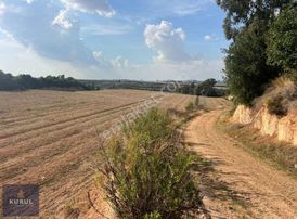 Kurul Gayrimenkulden Ceyhan Kızıldere Mevki Satılık Tarla