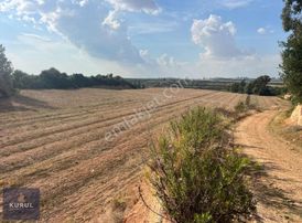 Kurul Gayrimenkulden Ceyhan Kızıldere Mevki Satılık Tarla
