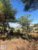 Artenew Emlak'tan Kemalpaşa'da 1950m² Bahçe