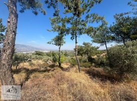 Artenew Emlak'tan Kemalpaşa'da 1950m² Bahçe