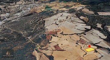 Berceste Grup/altıeylül Sarıalan'da 3.015 M2 Satılık Tarla