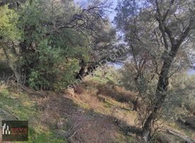 Bayındır Çenikler Çift Yolu Olan Tek Tapu Arazi