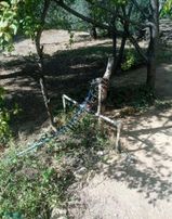 Satılık İki Adet Ev Ve Zeytinlik