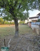 İmarlı Büyük Arsa