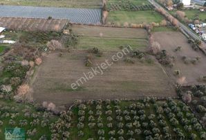 Plato Emlak Tan Satılık İmar Planı İçerisinde Büyük Yatırımlık Arsa