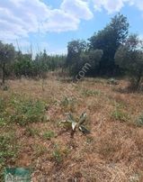 Satılık Büyük Bahçe