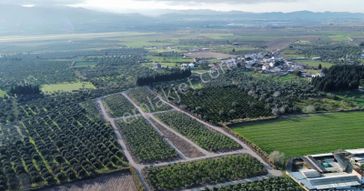 Çıkrıkçı Mevki %40 4 Kat İmarlı 8-12 Dairelik Arsa