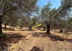 Meraemlak Beyoba Köyü Deniz Manz. 45 Villa Veya 90 Dairelik Arsa