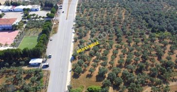 Tuzcumurat Mh Üniversite Karışısı Asfalt Cephe 500m2 İmarlı Arsa