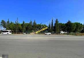 Tuzcumurat Mh Üniversite Karışısı Emsalsiz 501 M2 İmarlı Arsa