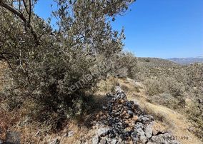 ▀▄mera Emlaktan Kazdağları Atatürk Mah. 32 Dairelik Net Arsa▀▄