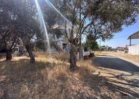 ▀▄mera Emlaktan Zeytinli Köyünde 239 M2 Emsalsiz İmarlı Arsa