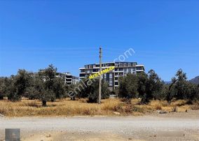 ▀▄mera Emlaktan Edremit Hamidiye Mh 1.318m2 %15 2 Kat İmarlıarsa