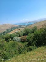 Elmalı Mahallesinde Satılık 6 Dönüm Bahçe