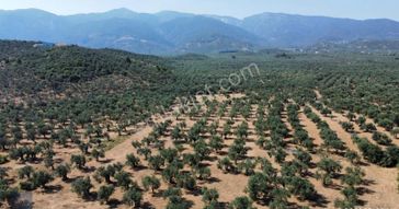 ▀▄mera Emlak'tan Akçay Mh Denize Yakın 661m2 Satılık İmarlı Arsa