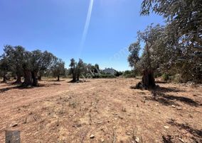 ▀▄mera Emlak'tan Akçay Mh Denize Yakın 661m2 Satılık İmarlı Arsa