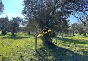 ▀▄mera Emlaktan Kipa Avm'ye Çok Yakın 953m2 Sanayi İmarlı Arsa▀▄