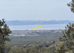 Mera Emlaktan Zeytinlide Panoramik Deniz Manz 10.000m2 Zeytinlik