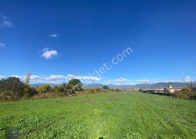 ▄▀mera Emlaktan Edremit Çıkrıkçı Ovasında 7479m2 Satılık Tarla