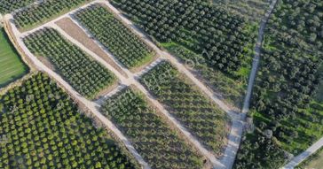 Mera Emlak'tan Çıkrıkçı Mevki %40 4 Kat İmarlı 28 Dairelik Arsa