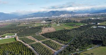 Mera Emlak'tan Çıkrıkçı Mevki %40 4 Kat İmarlı 8 Dairelik Arsa