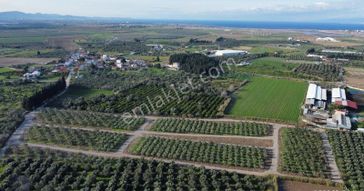 Mera Emlak'tan Çıkrıkçı Mevki %40 4 Kat İmarlı 8 Dairelik Arsa