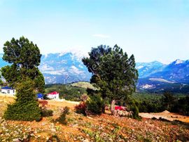 Kar Emlaktan Yenikonacık Bozkırlı Mevkiinde 400 M2 İmarlı İfrazlı Satılık Arsa