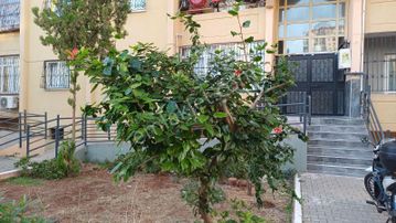 Gürselpaşa Toki Merkezi Konumlu 3.kat Satılık Daire