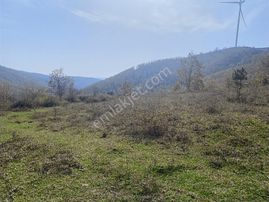 Korubaşı Satılık Tek Tapu Tarla