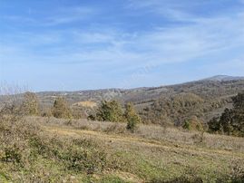 Korubaşı Satılık Tek Tapu Tarla