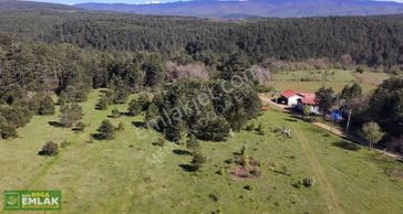 Mengen Teberikler Akçaalanda Satılık Köyiçi Ve İmarlı Arsa