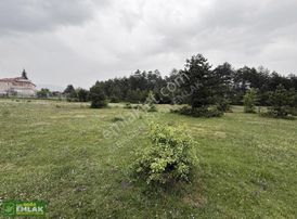 Mengen Teberikler Akçaalanda Satılık Köyiçi Ve İmarlı Arsa