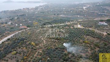 Erdek Çeltikçi Mahallesinde Köye Yakın Konumlu 567m² Arazimiz Satılıktır