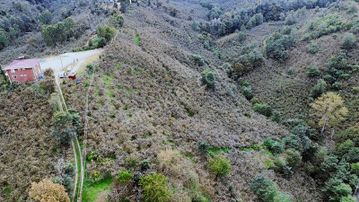 Ulu'dan Kaçırılmayacak Fırsat