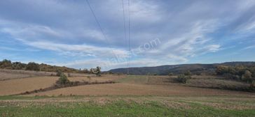 Sahibinden Asarcık Yolu Üzeri